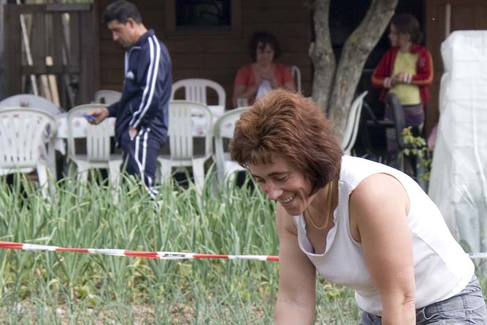 nettoyageelsebrich200704042