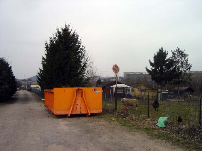 elsebrich200503001strauchschnitt