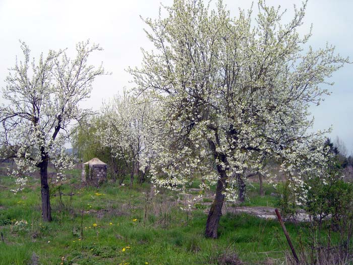 zaepertnonnewisen200504003