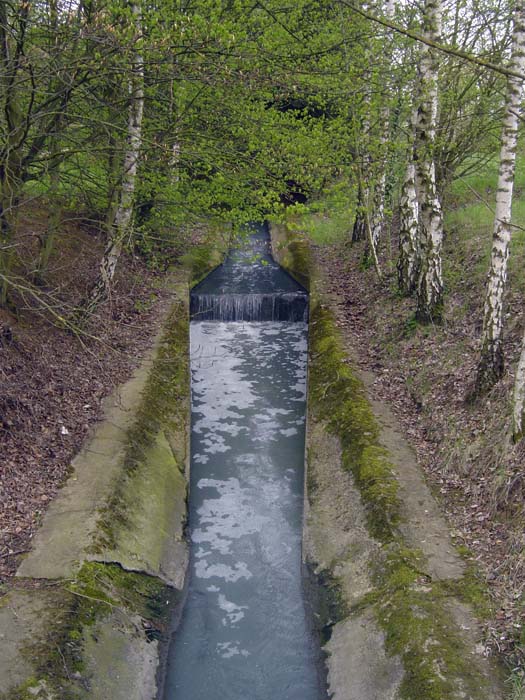 zaepertnonnewisen200504004