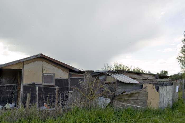 zaepertnonnewisen200505004