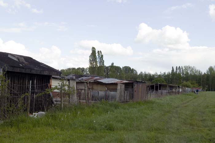 zaepertnonnewisen200505006