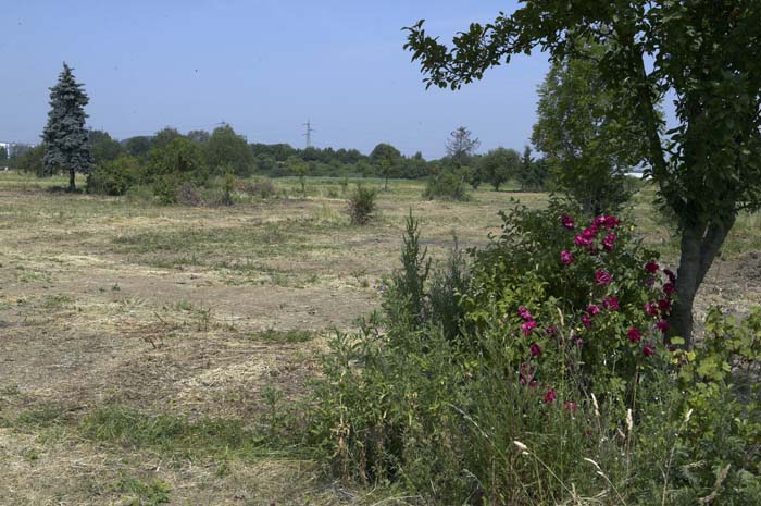 zaepertnonnewisen200506004