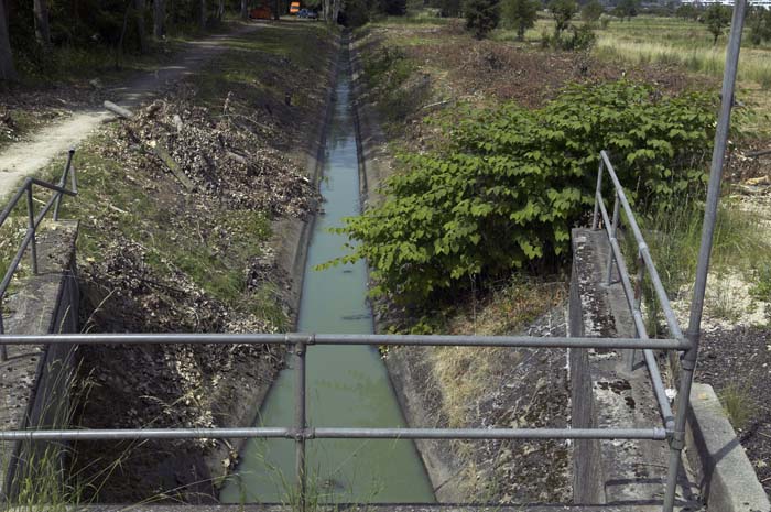 zaepertnonnewisen200506007