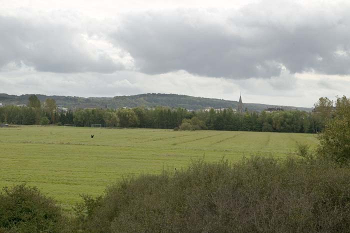 zaepertnonnewisen200509002