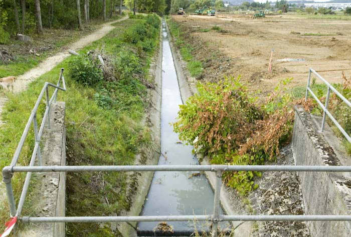 zaepertnonnewisen200509005