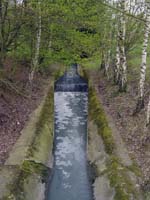 zaepertnonnewisen200504004