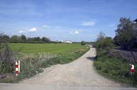 zaepertnonnewisen200504008