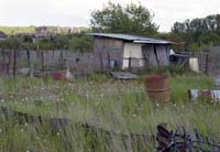 zaepertnonnewisen200505005