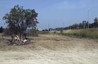 zaepertnonnewisen200506006