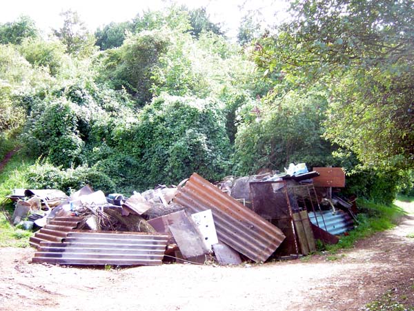 bowenacker 2004 09 001