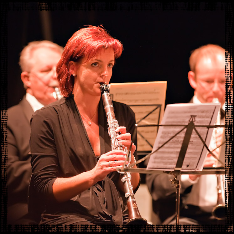 20100131_concertdebienfaisance_00820100131_concertdebienfaisance_008