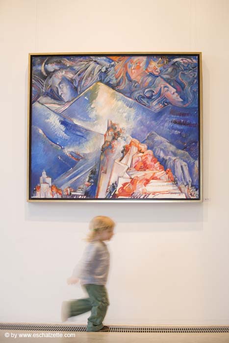 20080216rotarysegoumali053