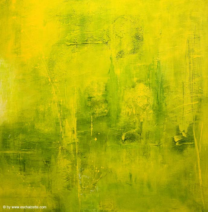 20080216rotarysegoumali074