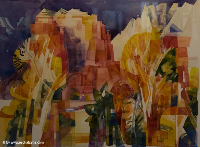 20080216rotarysegoumali078