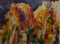 20080216rotarysegoumali078