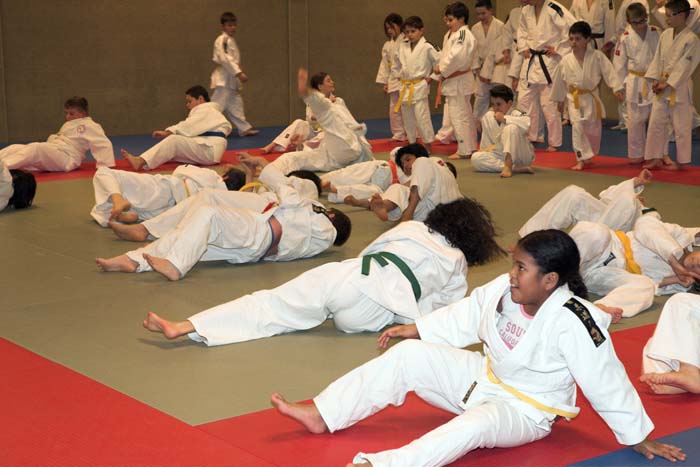 artsmartiaux200601001a