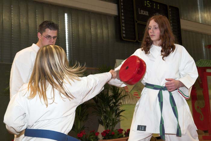 artsmartiaux200601003e