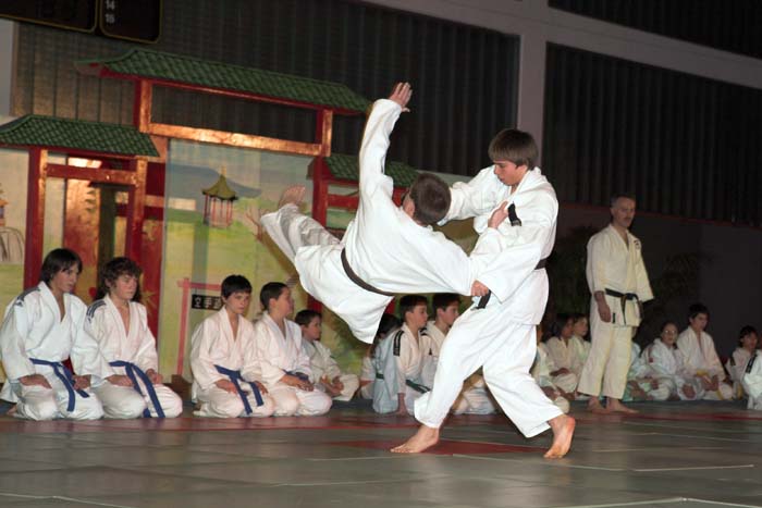 artsmartiaux200601013