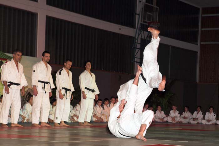 artsmartiaux200601015