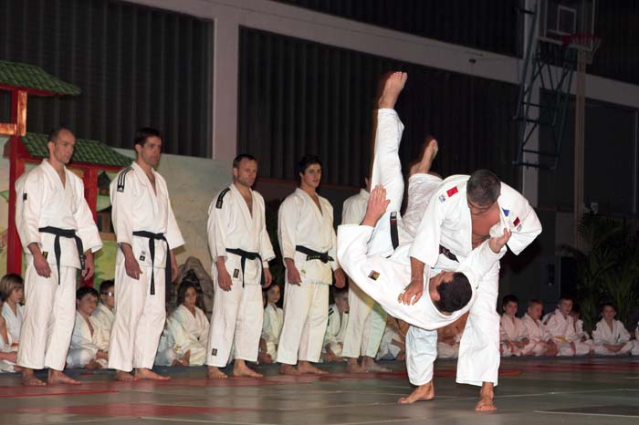 artsmartiaux200601016