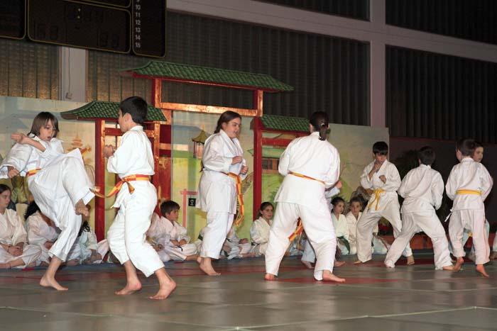 artsmartiaux200601024