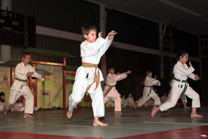 artsmartiaux200601027