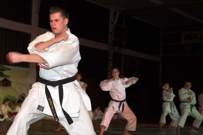 artsmartiaux200601030