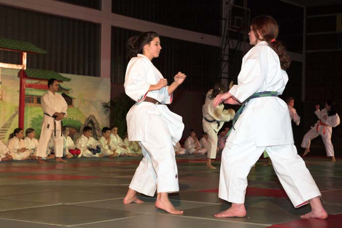 artsmartiaux200601032