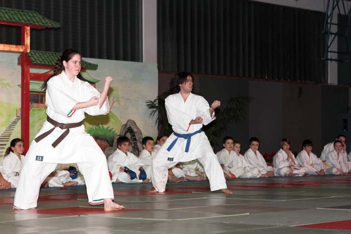 artsmartiaux200601033