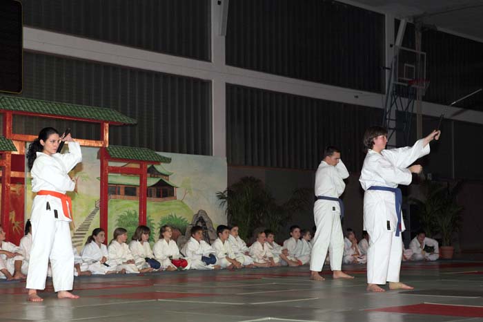 artsmartiaux200601034