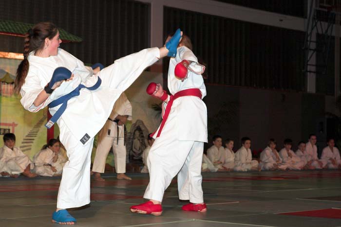 artsmartiaux200601038