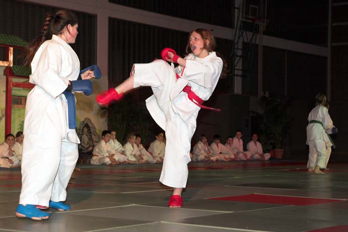 artsmartiaux200601039
