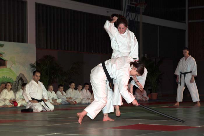 artsmartiaux200601043