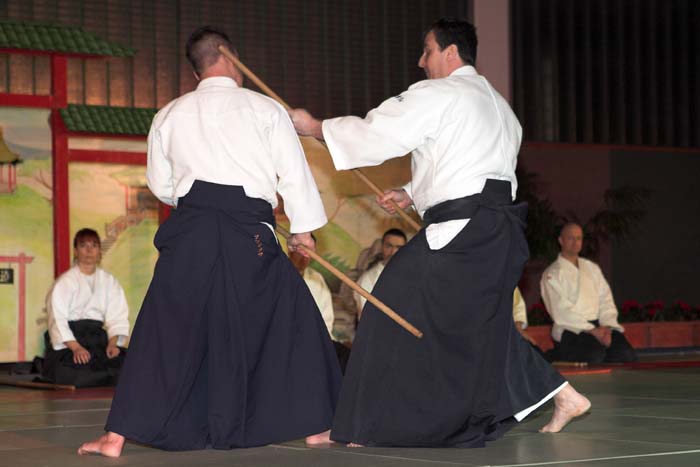 artsmartiaux200601053