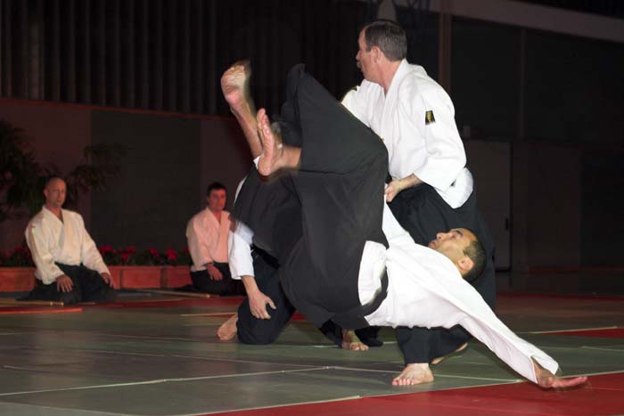 artsmartiaux200601058