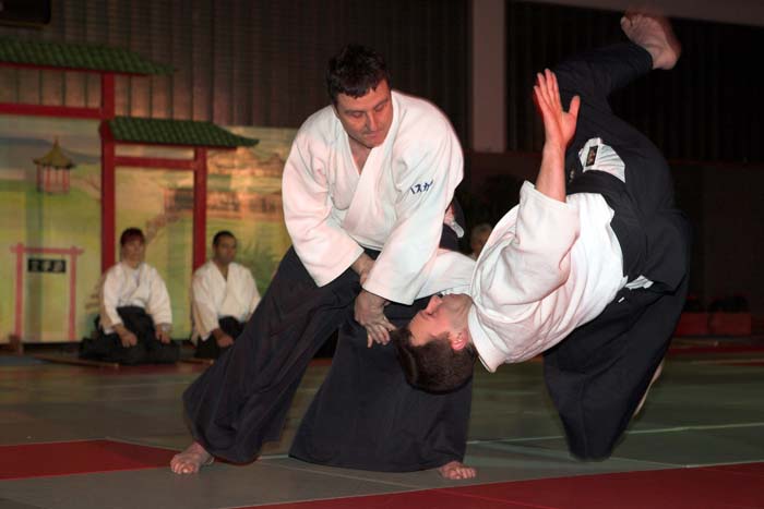 artsmartiaux200601059