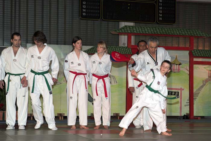 artsmartiaux200601066