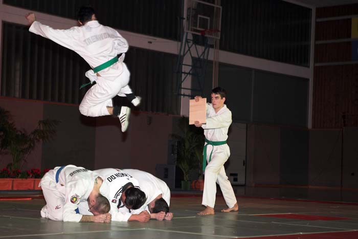 artsmartiaux200601072