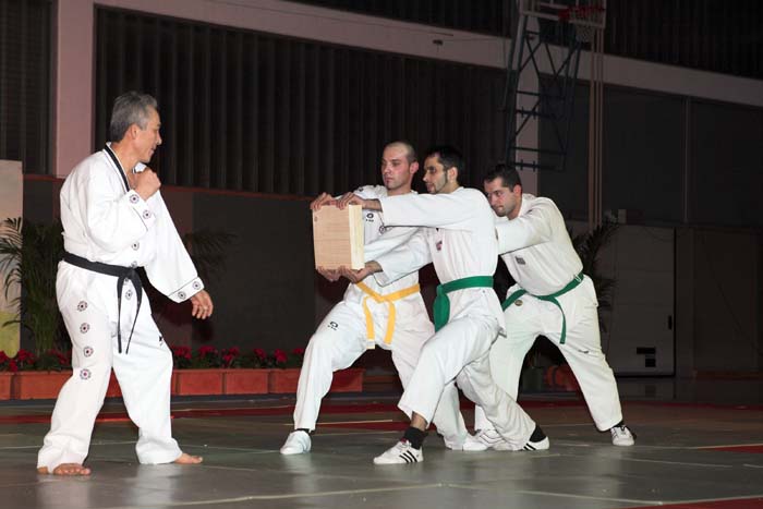 artsmartiaux200601074