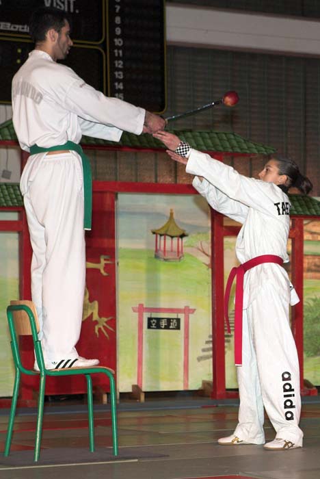 artsmartiaux200601078