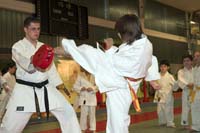 artsmartiaux200601003a