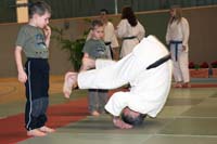 artsmartiaux200601003d