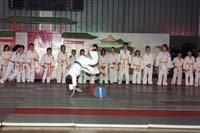 artsmartiaux200601008