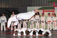 artsmartiaux200601010