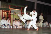 artsmartiaux200601013