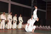 artsmartiaux200601015