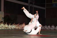 artsmartiaux200601018