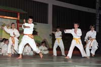 artsmartiaux200601026