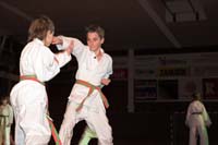 artsmartiaux200601028